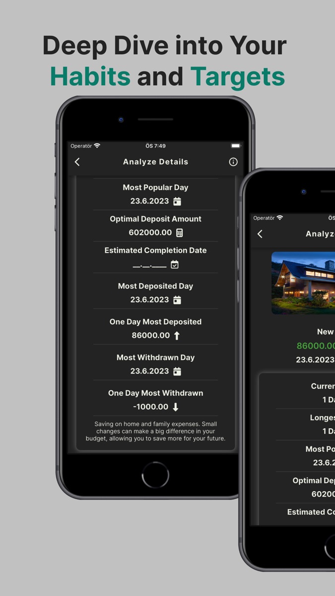 Savings Goal Tracker detailed goal analysis